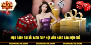 Mẹo đánh tài xỉu MD5